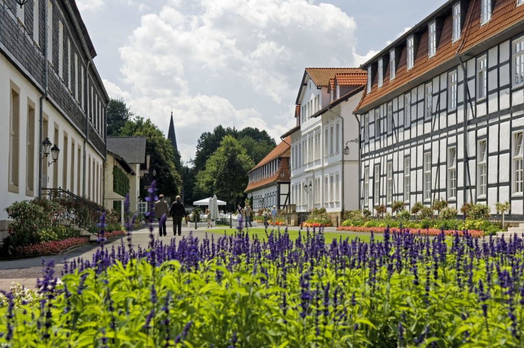 Gräf­li­cher Park Bad Dri­burg Hauptachse