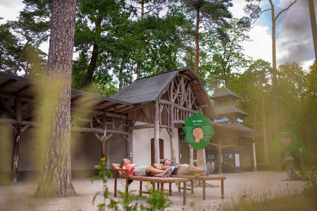 Teu­to­bur­ger Wald_Bad Lippspringe_Heilwald_0427 © Tou­ris­mus NRW e.V. (A1)-min