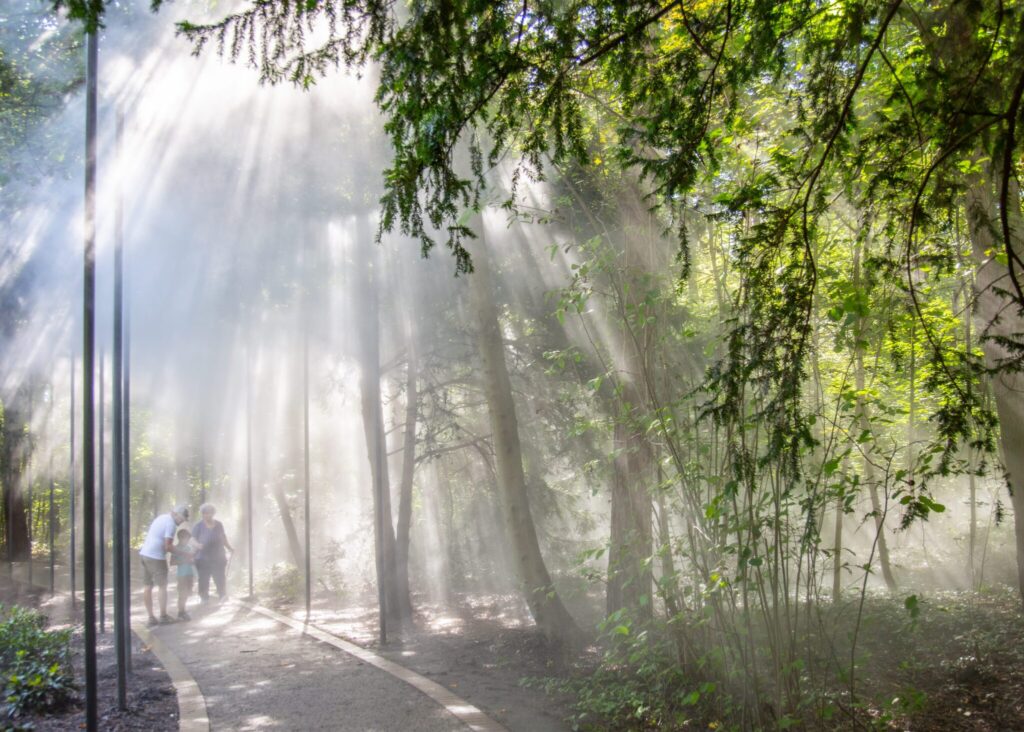 BadWaldliesborn_Nebenlwald4 ©Stadt Lippstadt_Sandra Püttmann-min