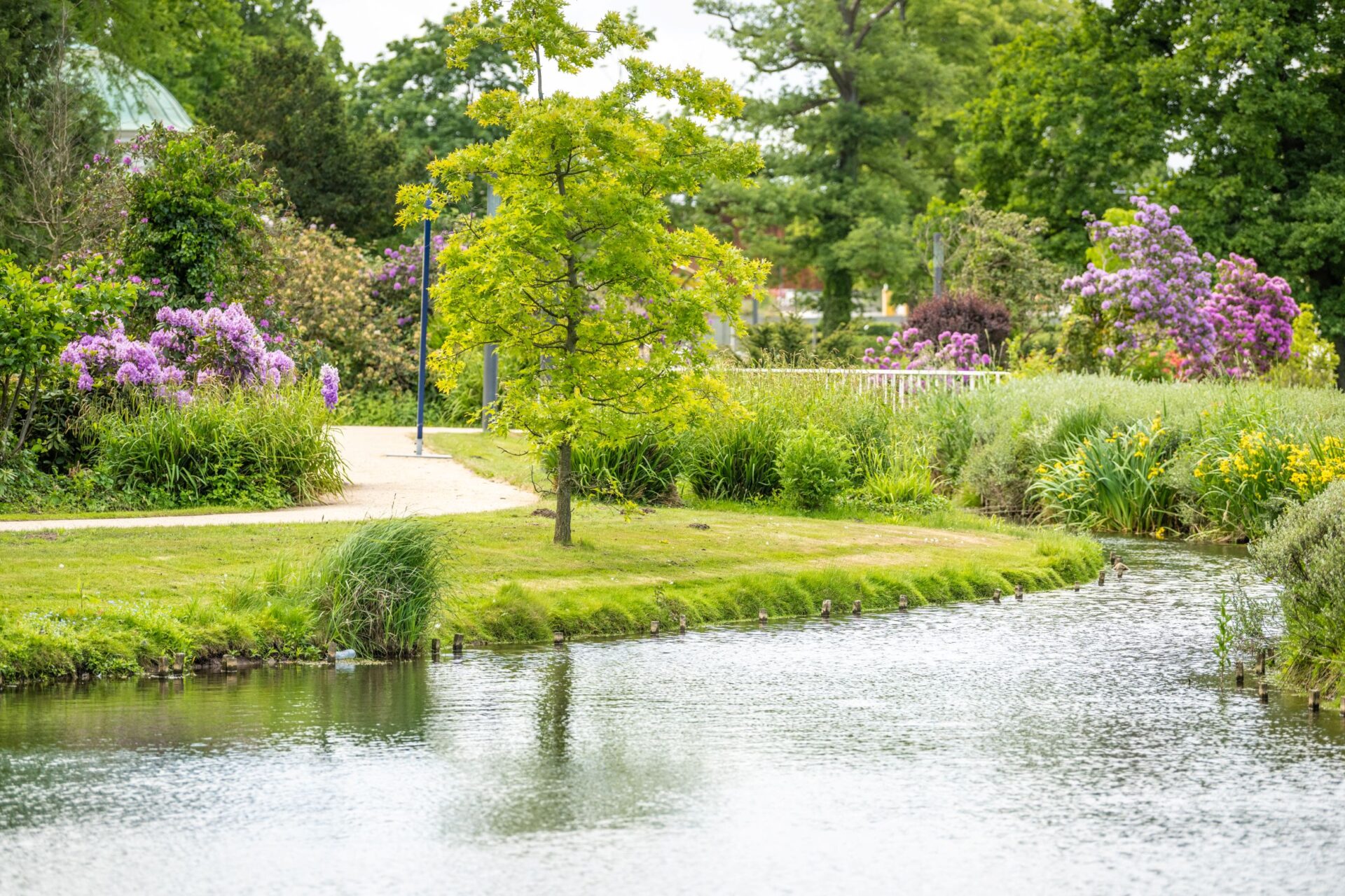 Kurpark in Bad Salzuflen Teutoburger Wald
